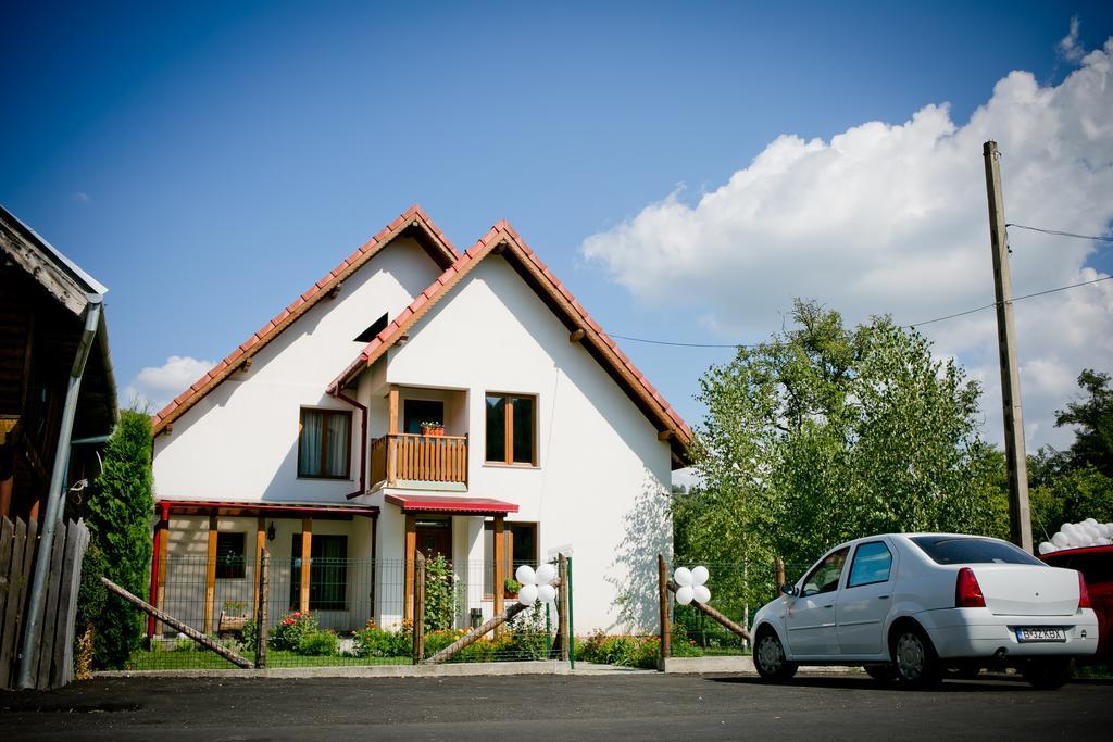 Conacul De Sub Munte Villa Novaci-Străini Eksteriør billede