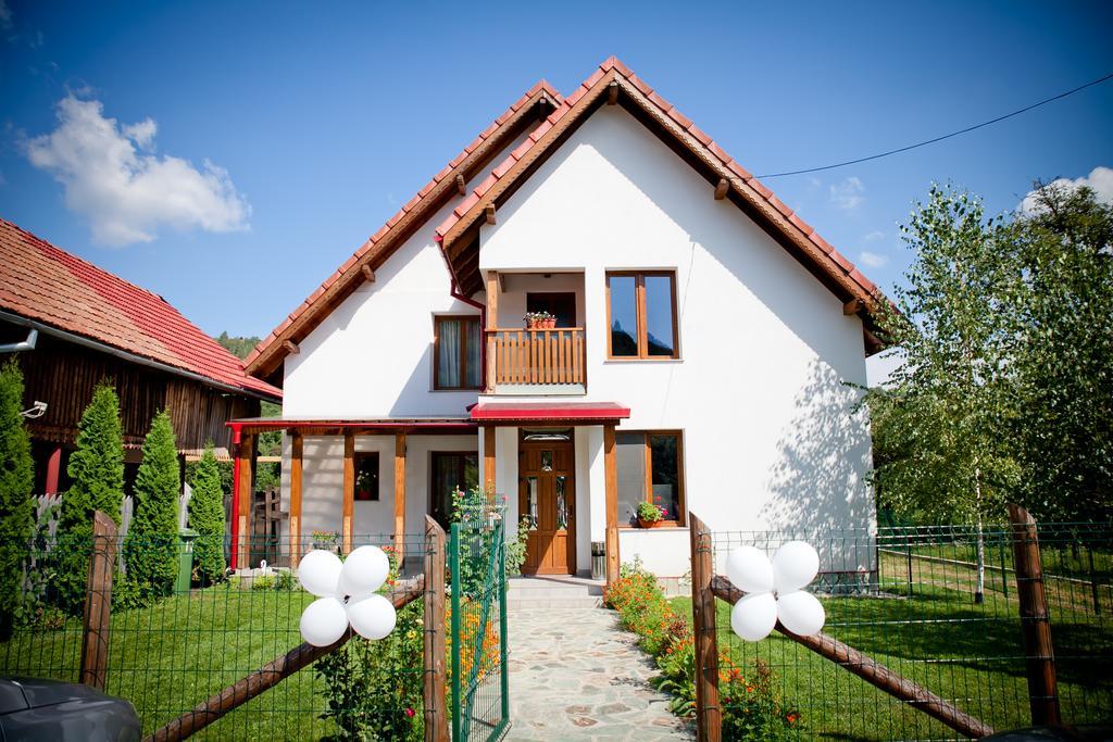 Conacul De Sub Munte Villa Novaci-Străini Eksteriør billede