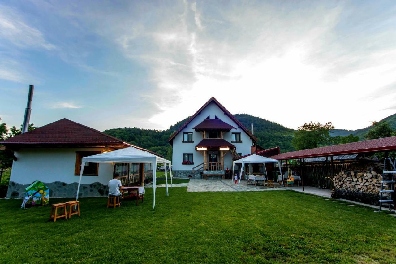 Conacul De Sub Munte Villa Novaci-Străini Eksteriør billede